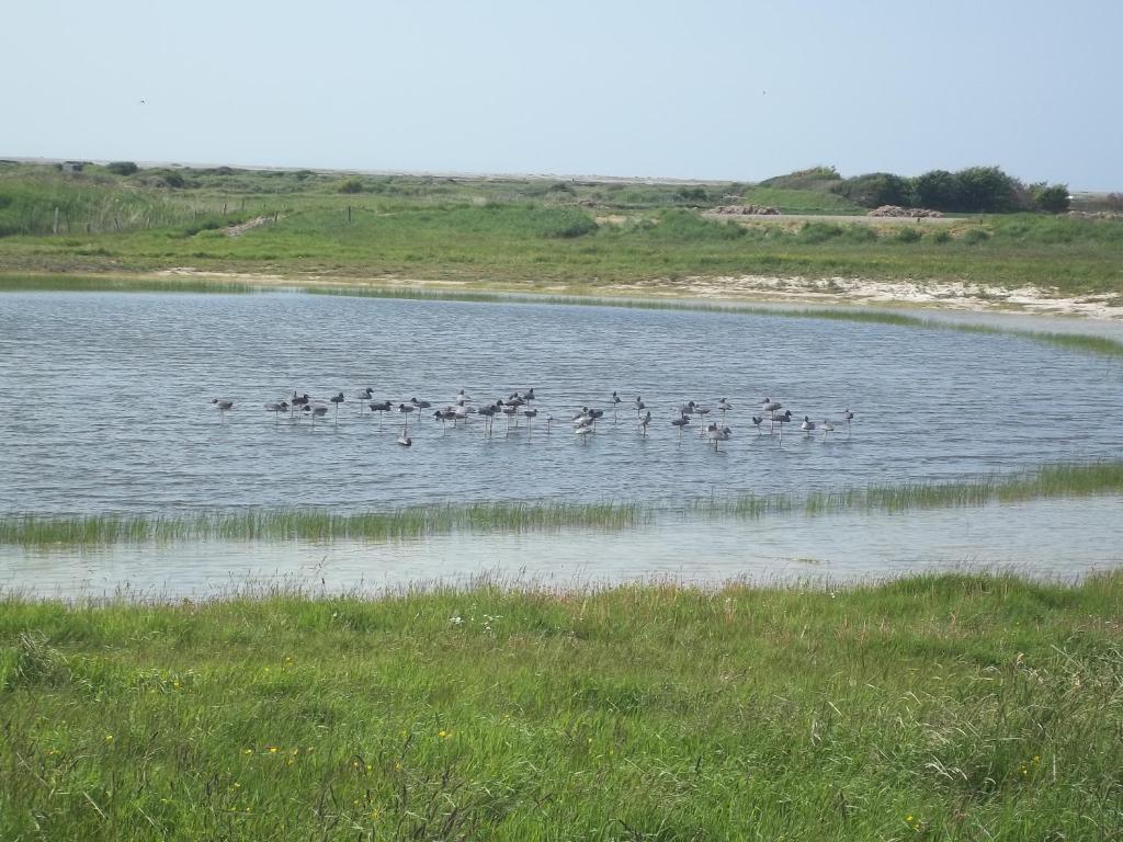 Camping Paradis Les Galets De La Molliere Cayeux-sur-Mer Dış mekan fotoğraf